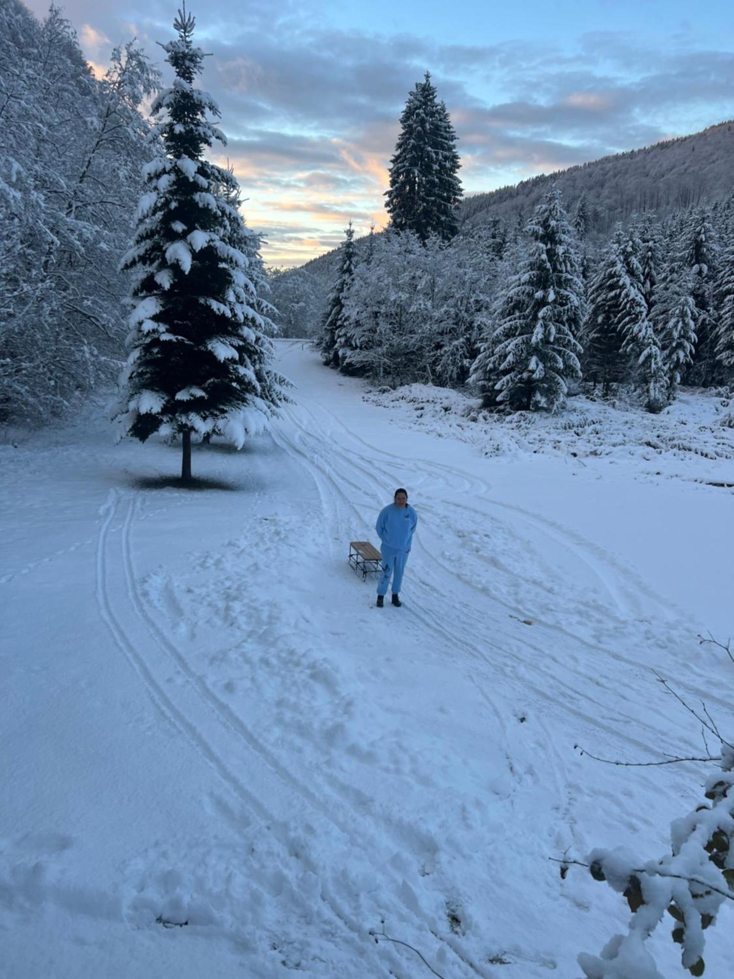 Cabana Rausor Câmpulung Bagian luar foto