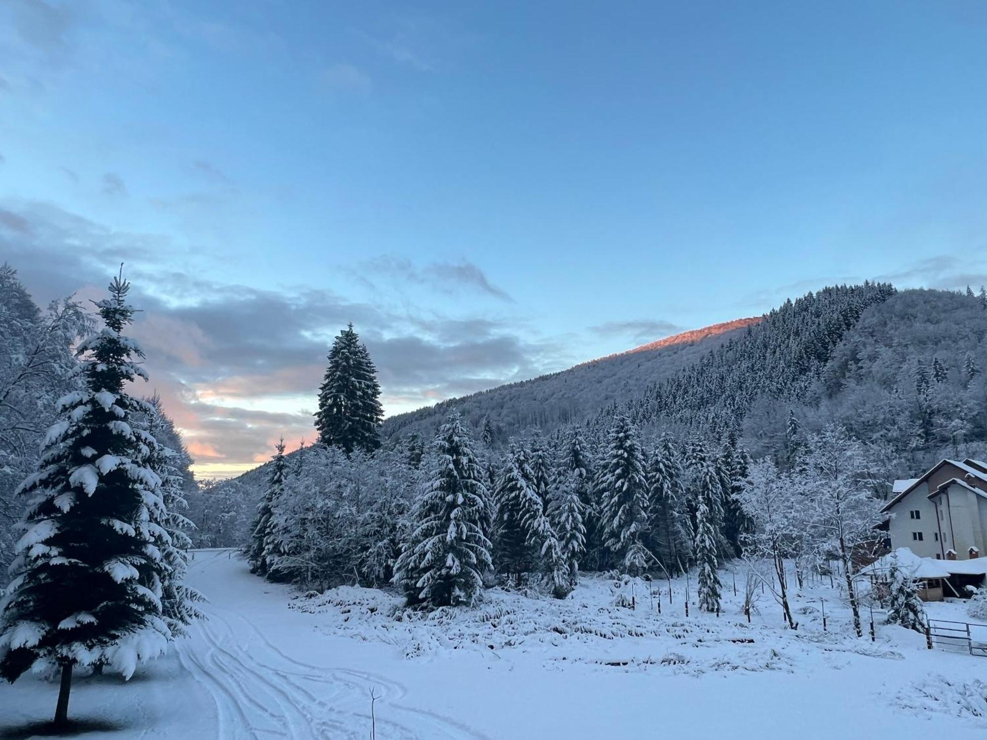 Cabana Rausor Câmpulung Bagian luar foto